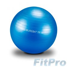 Мяч гимнастический TRENDY Professional Bureba Ball, 75 см в магазине FitPro